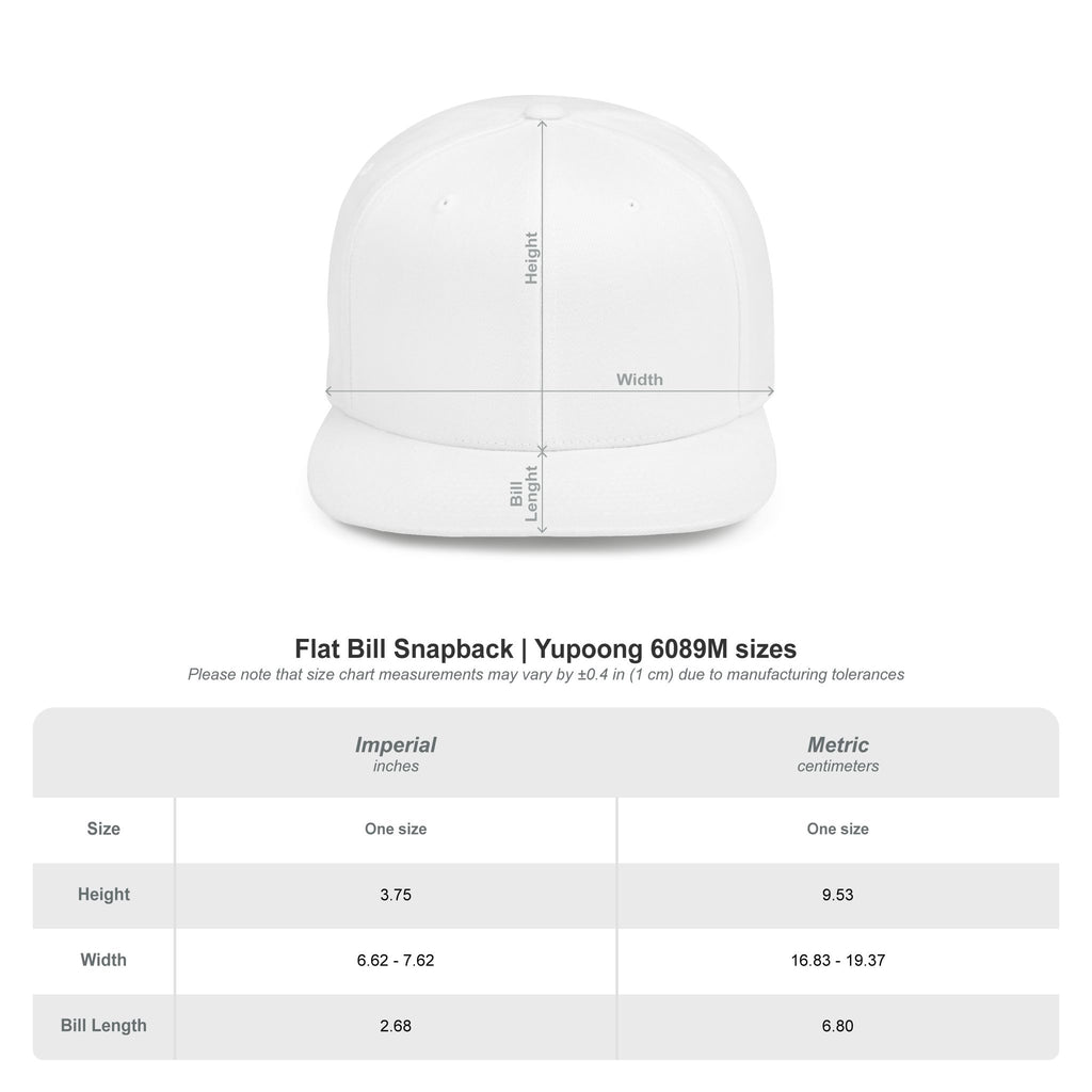 Studio Vibes embroidered flat bill snapback hat